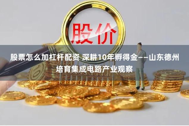 股票怎么加杠杆配资 深耕10年孵得金——山东德州培育集成电路产业观察