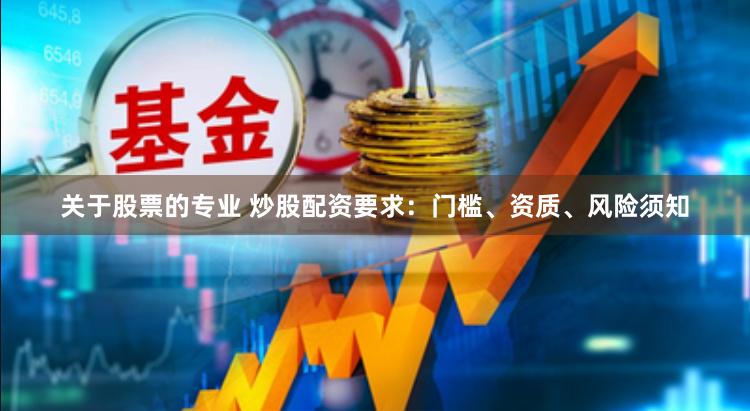 关于股票的专业 炒股配资要求：门槛、资质、风险须知