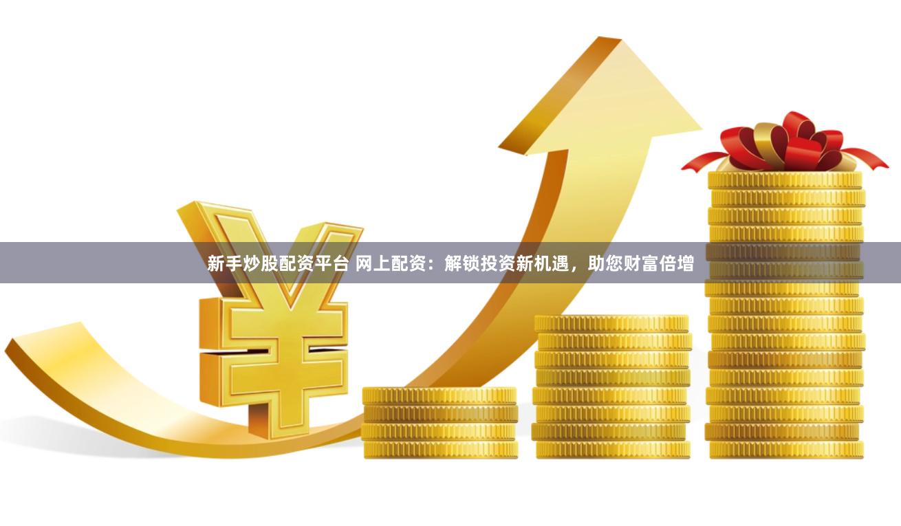新手炒股配资平台 网上配资：解锁投资新机遇，助您财富倍增