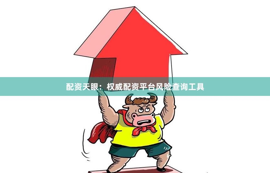 配资天眼：权威配资平台风险查询工具