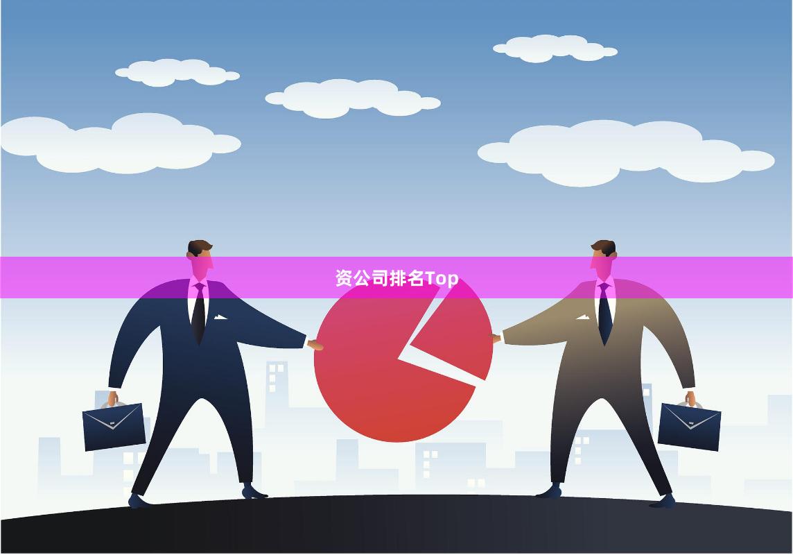 资公司排名Top