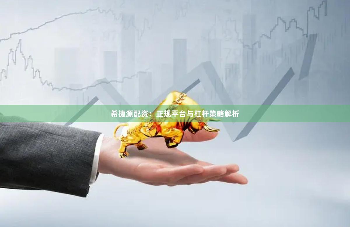 希捷源配资：正规平台与杠杆策略解析